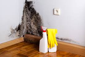 Best Attic Mold Removal  in Chadwicks, NY